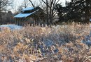 Glassberg Family Pavilion